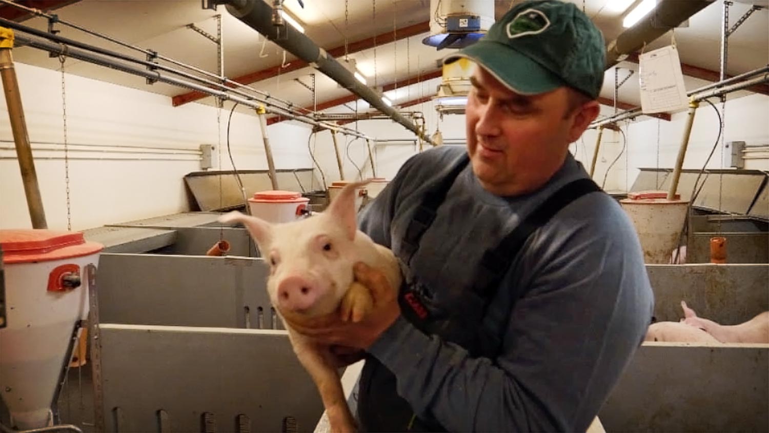 A pig farmer holding a little piglet.