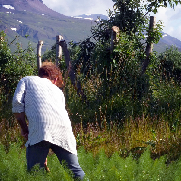 A young man with turned back to camera, working in the field.