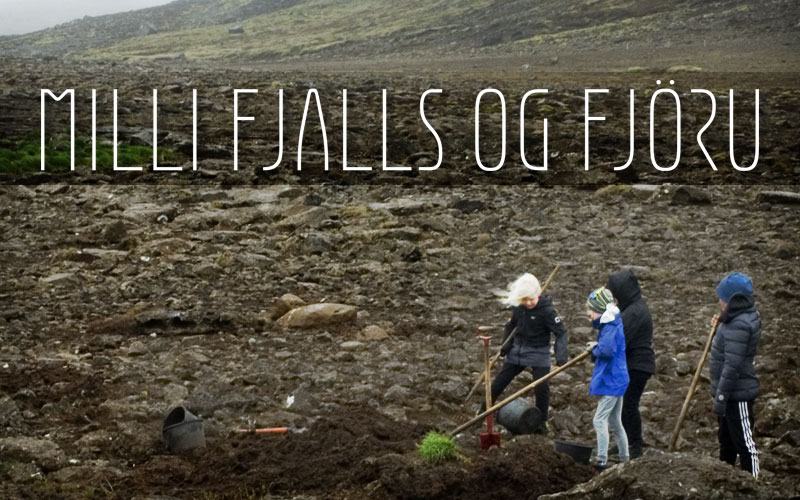 Thumbnail image of Milli fjalls og fjöru
