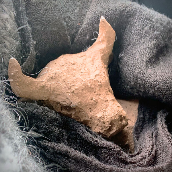 A head of a bull made out of clay wraped in a woolen cloth