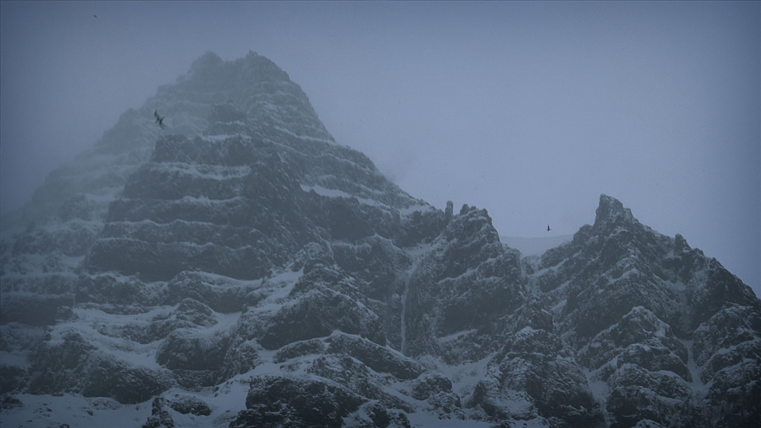 A snowy mountaintop in a dusk, birds flying