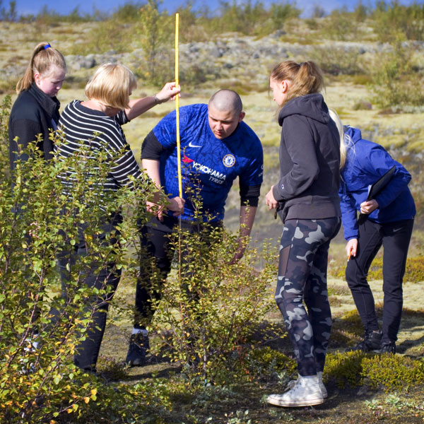 A teacher and pupils measuring a tree on the sander